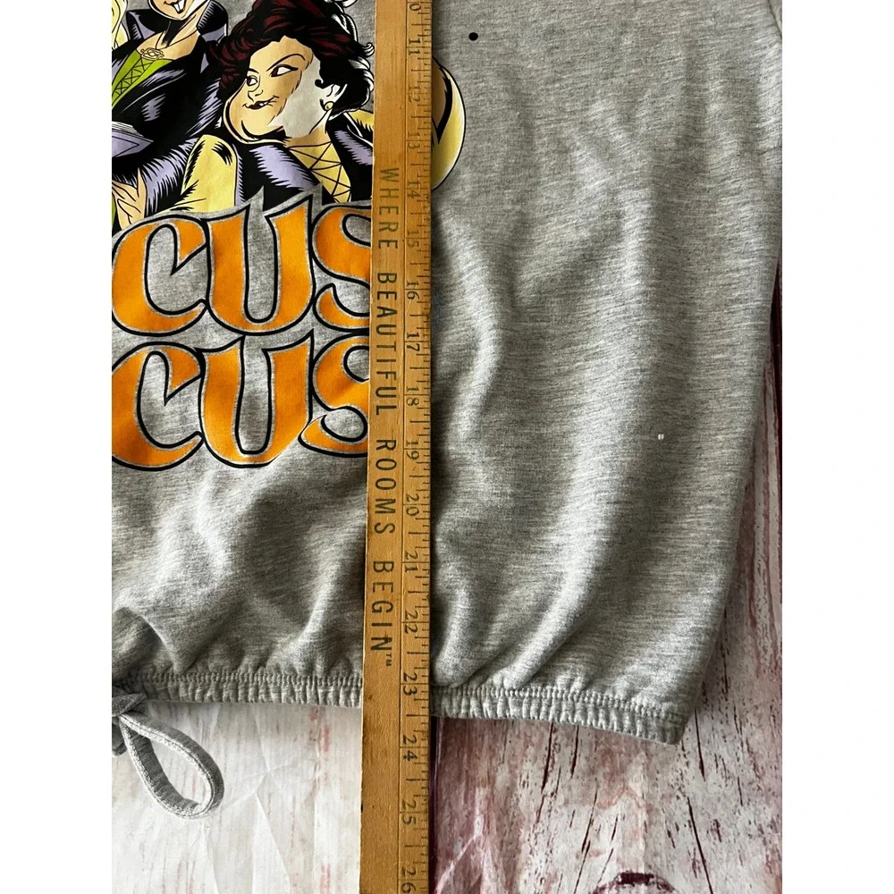 Disney Hocus Pocus Sanderson Sisters Graphic Hoodie Gray XXXL Halloween Movie